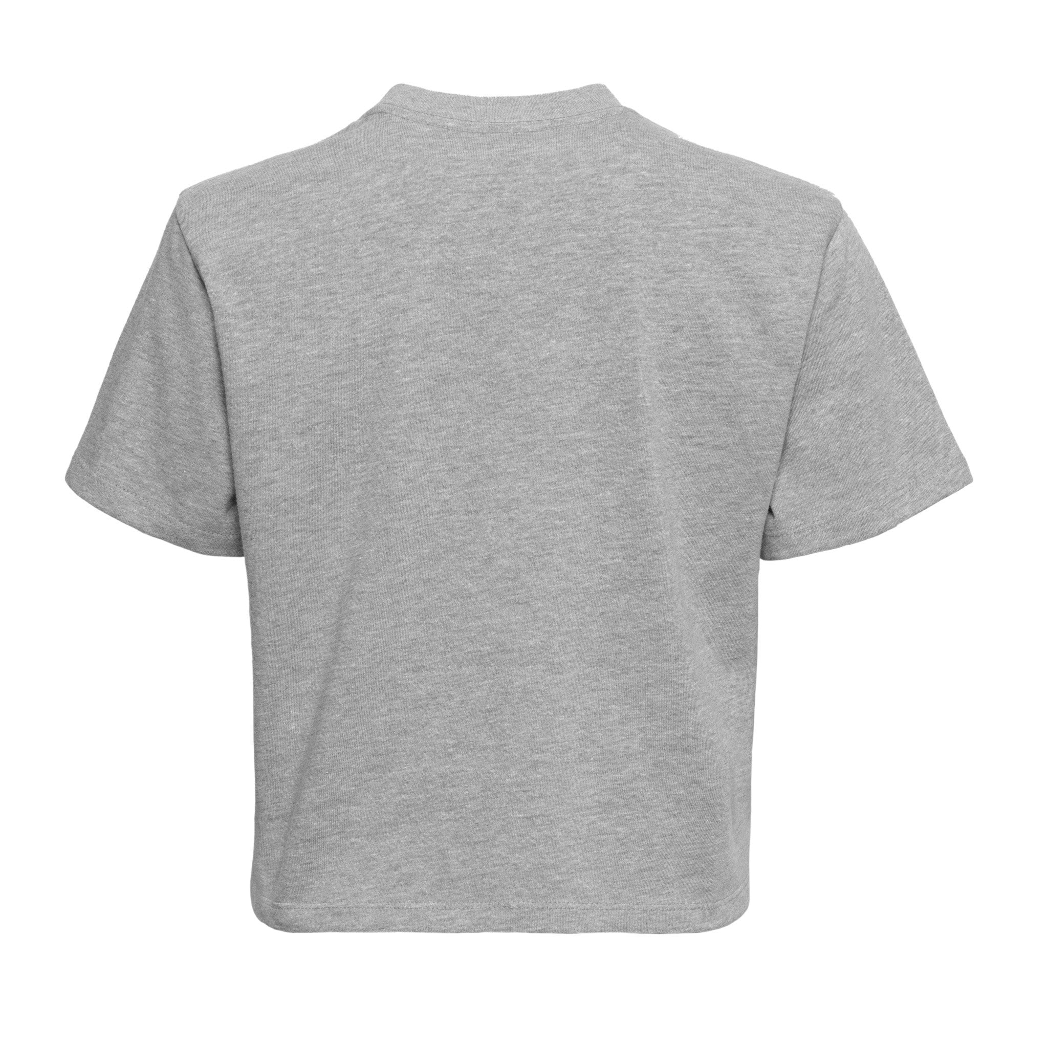 Heavyweight High Boxy T-Shirt Heather Gray 7610 Next Level Apparel Sizes XS, S, M, L, XL, 2XL, 3XL Back View