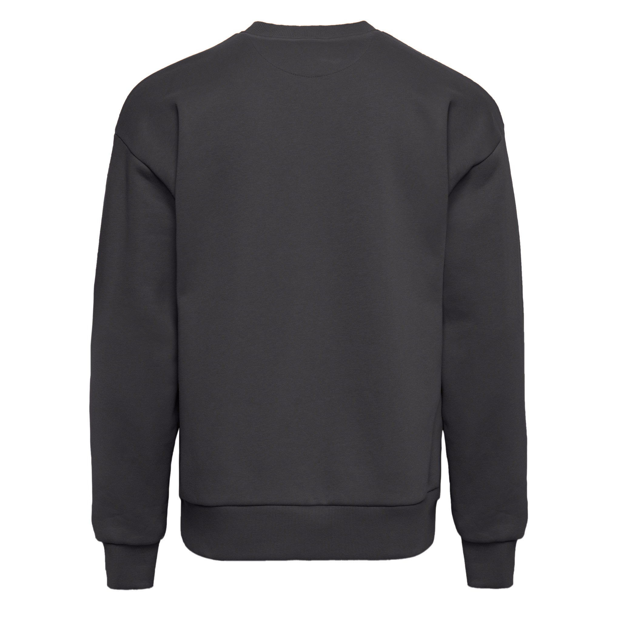 Unisex Heavyweight Sweatshirt Graphite Black 9007 Next Level Apparel Sizes XS, S, M, L, XL, 2XL, 3XL Back View