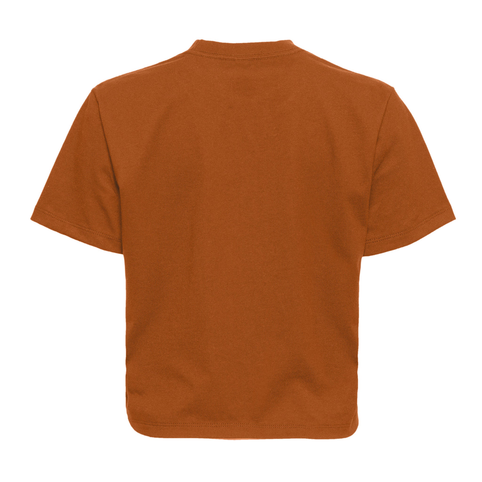 Heavyweight High Boxy T-Shirt Clay 7610 Next Level Apparel Sizes XS, S, M, L, XL, 2XL, 3XL Back View