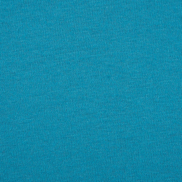 Cotton Boyfriend T-Shirt Turquoise 3900 Next Level Apparel Color Swatch